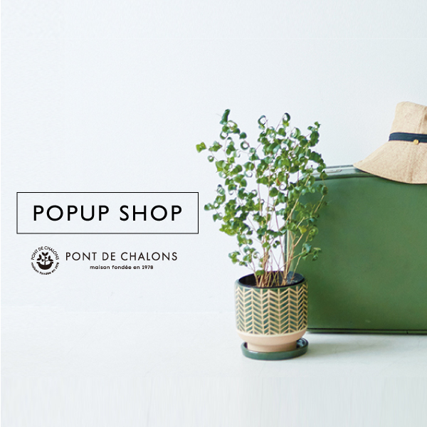 /img/topics/popupshop/thum.jpg